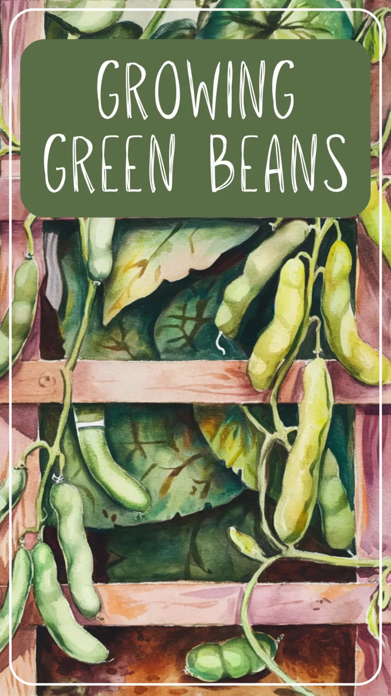 New to gardening? 🫘 Growing green beans is the perfect way to start your self-sufficient canning garden! Learn how to grow them in containers, raised beds, or with a trellis—even from seed! 🌱 #GrowingGreenBeans #CanningGarden #SelfSufficientLiving #BeginnerGardener #HomesteadLife