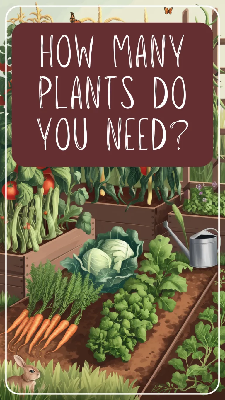 Planning your canning garden? Here's how to figure out exactly how many tomato plants (and more!) you need to grow for a year's worth of jars. Simple tips, helpful charts, and no scary math! 💚🌽 #CanningForBeginners #GardeningTips #GrowYourOwnFood #CanningGarden