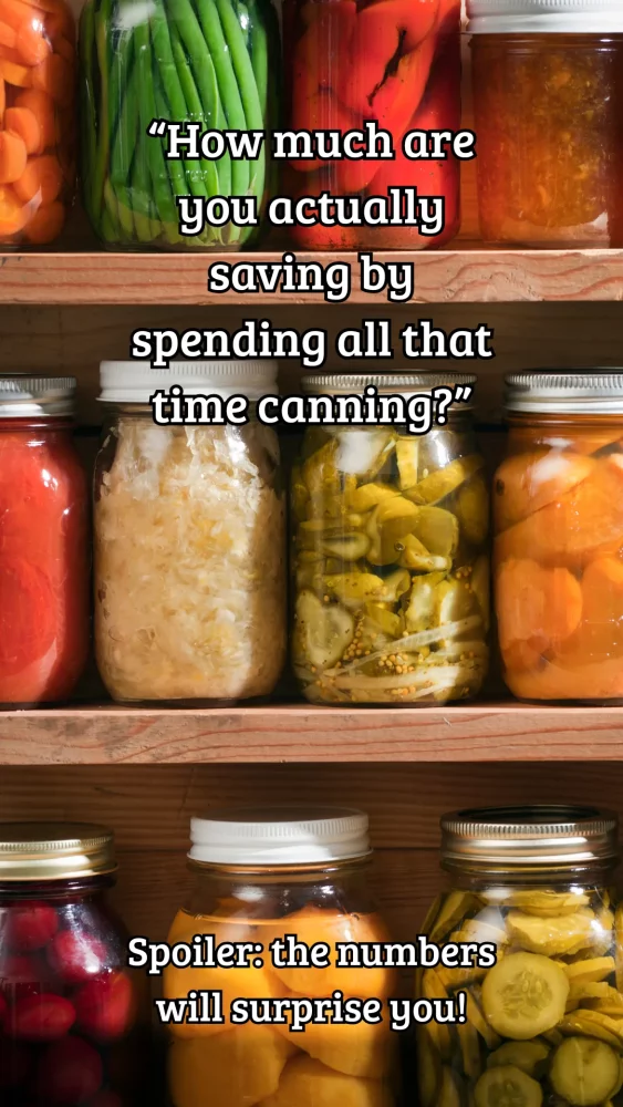 Ever wondered if canning actually saves money or if it’s just one of those cozy kitchen hobbies? This breakdown shows what it really costs to fill your shelves with home-canned food—and where the savings add up fast. Spoiler: the numbers might surprise you. #CanningForBeginners #HomeCanning