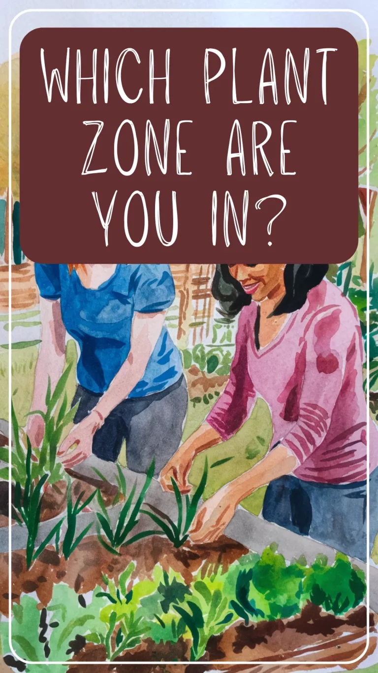 Not sure what your planting zone is or why it matters? This quick guide breaks it down in simple terms so you can plan your canning garden like a pro! 🌿 Includes helpful tips for growing what you can preserve. #CanningGarden #PlantingZone #USDAZones #GardeningTips #HomesteadLife #BeginnerGardener #GrowYourOwn #FoodPreservation #GardenPlanning